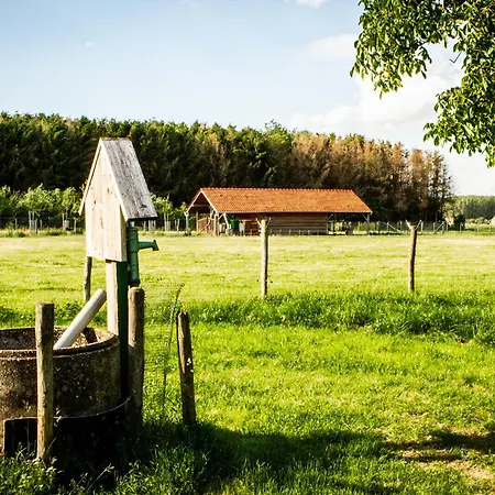 Hoeve Hulsbeek: Genieten Van De Natuur En De Rust Geetbets Exterior photo