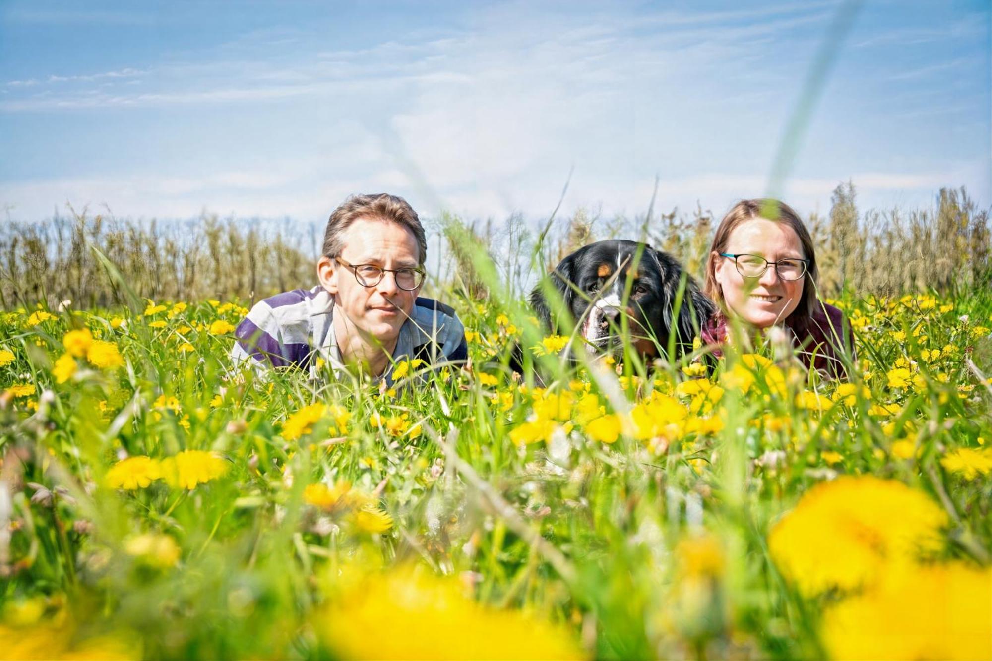 Hoeve Hulsbeek: Genieten De En De Rust Geetbets