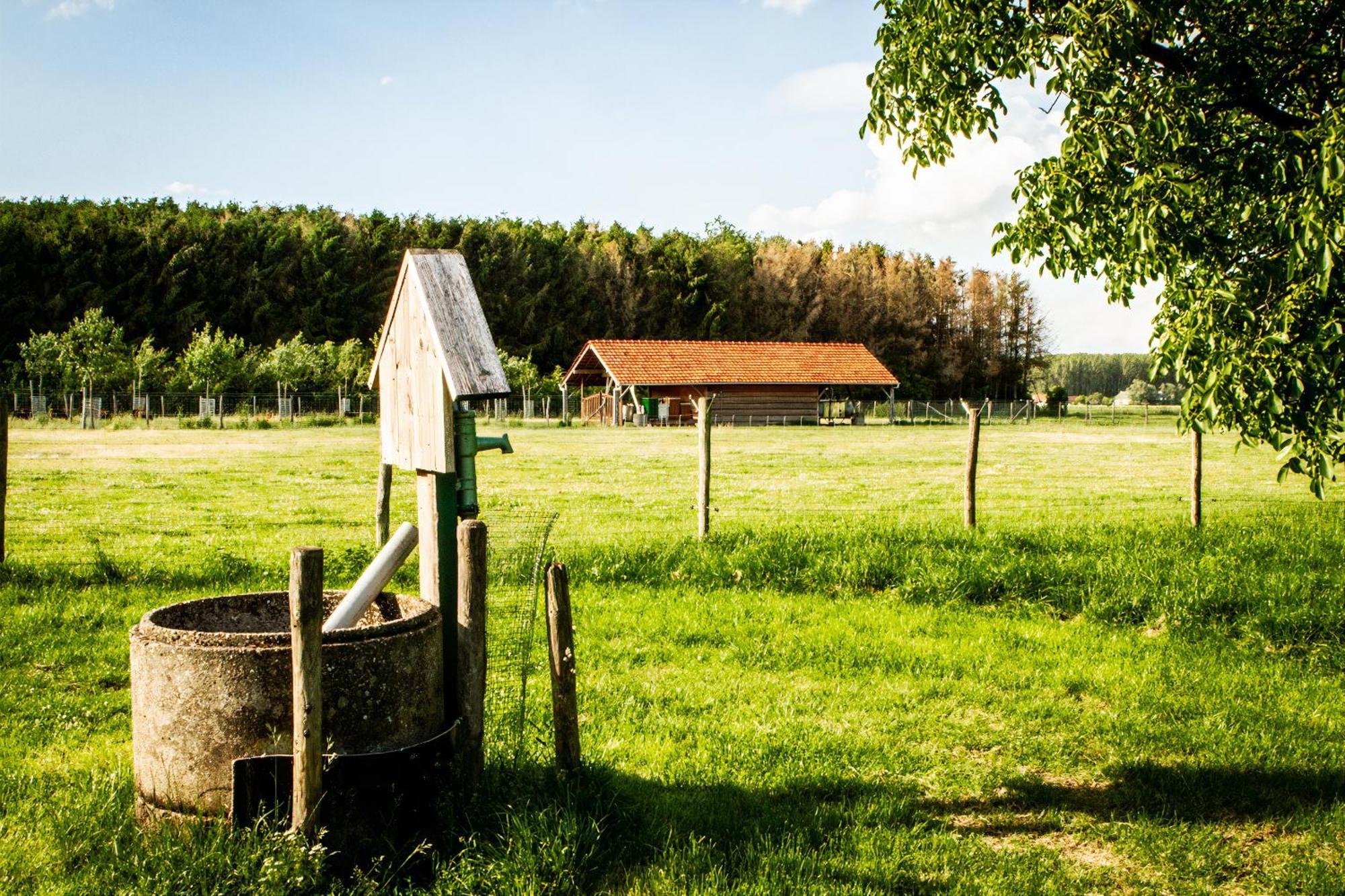 Hoeve Hulsbeek: Genieten De En De Rust Apartment